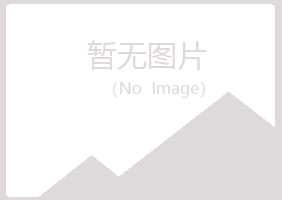 岐山县搁浅服务有限公司